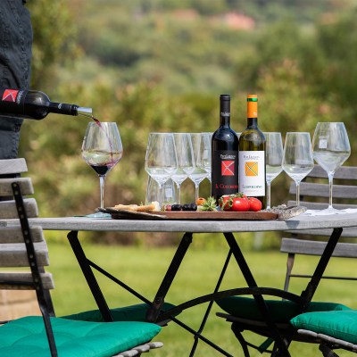 Tasting 3 Wines Experience