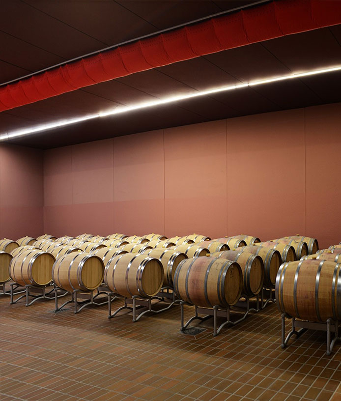 Pepi Lignana Cellar