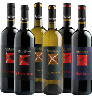 Red 'n' White Wine Tasting Selection Box