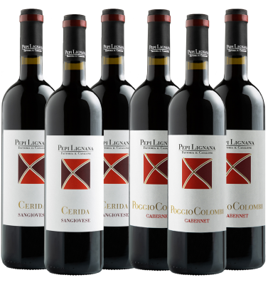 Red Wine Tasting Box