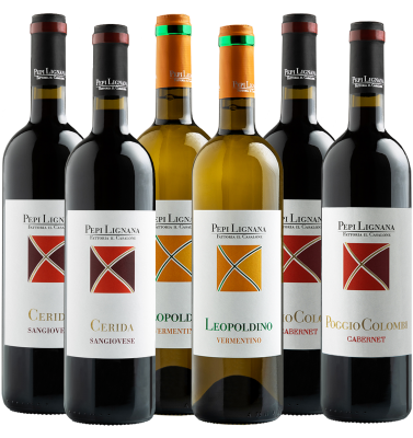 White and Red Wine Tasting Box
